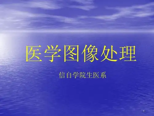 MedicalImage13医学图像分类