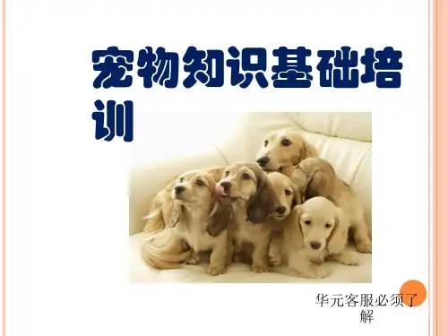 宠物知识培训[优质ppt]