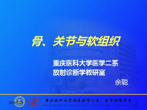 骨关节与软组织PPT课件