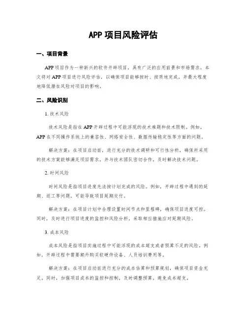 APP项目风险评估