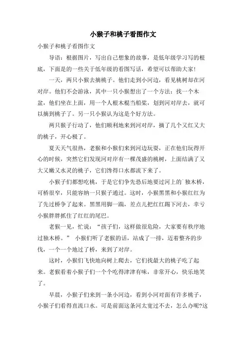 小猴子和桃子看图作文