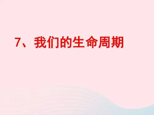 三年级科学下册 动物的生命周期 7 我们的生命周期课件