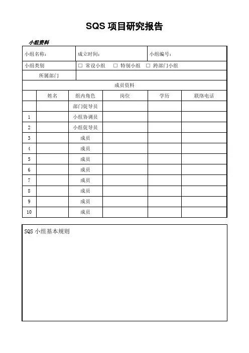 SQS项目研究报告