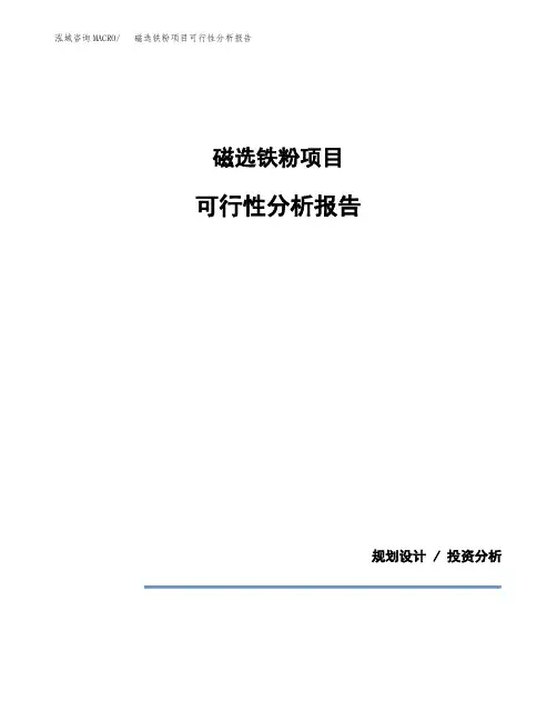 磁选铁粉项目可行性分析报告(模板参考范文)