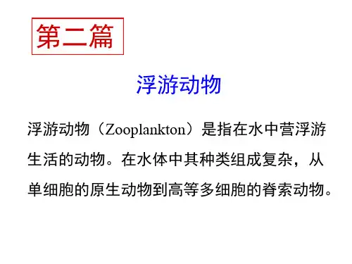 水生生物学课件 第1章 原生动物
