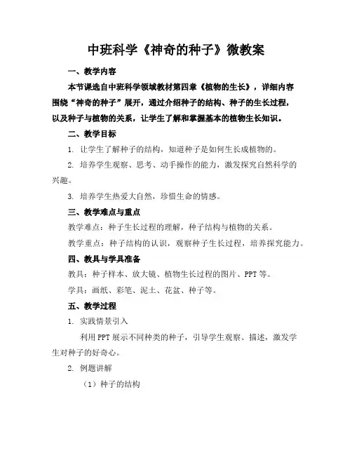 中班科学《神奇的种子》微教案