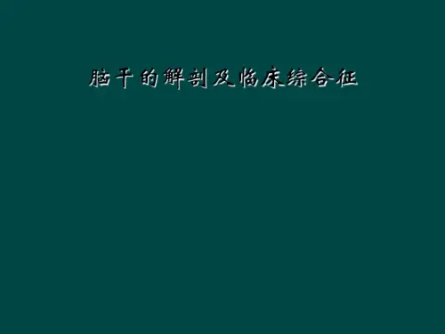 脑干的解剖及临床综合征