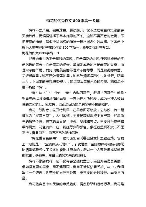 梅花的优秀作文800字高一5篇