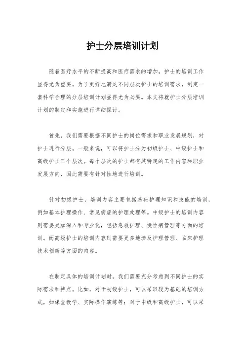 护士分层培训计划