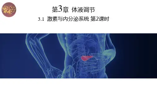 3.1激素与内分泌系统第2课时课件-高二上学期生物人教版选择性必修1