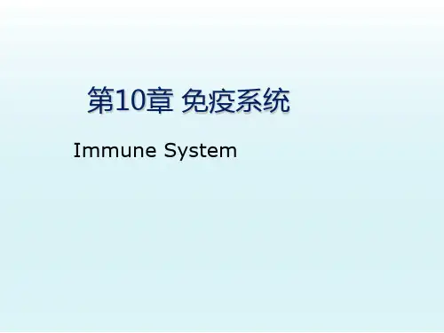 组织学与胚胎学教学课件：第10章免疫系统