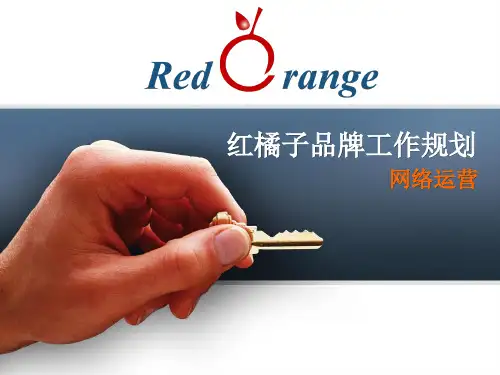 电子商务营销方案PPT课件