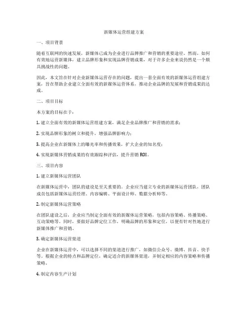新媒体运营组建方案