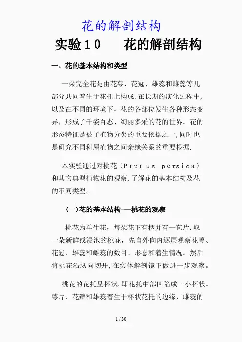 最新花的解剖结构(精品课件)