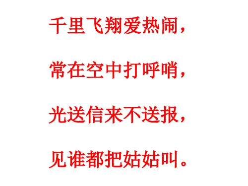 白鸽PPT课件