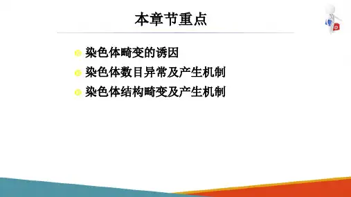 染色体病—染色体畸变