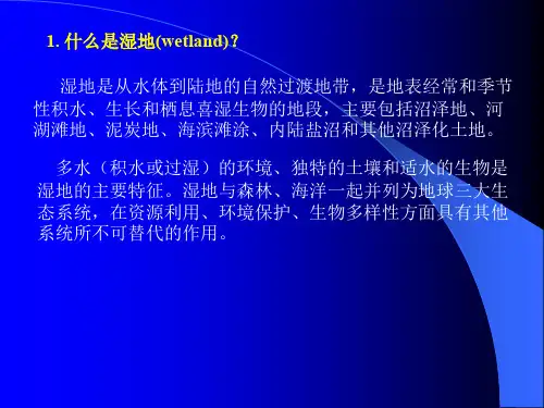 湿地保护.ppt