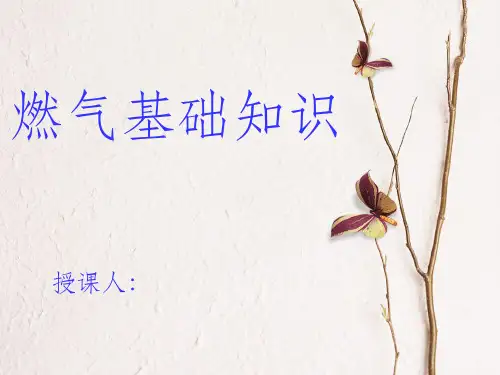 燃气基础知识完整ppt课件