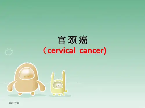 宫颈癌PPT课件
