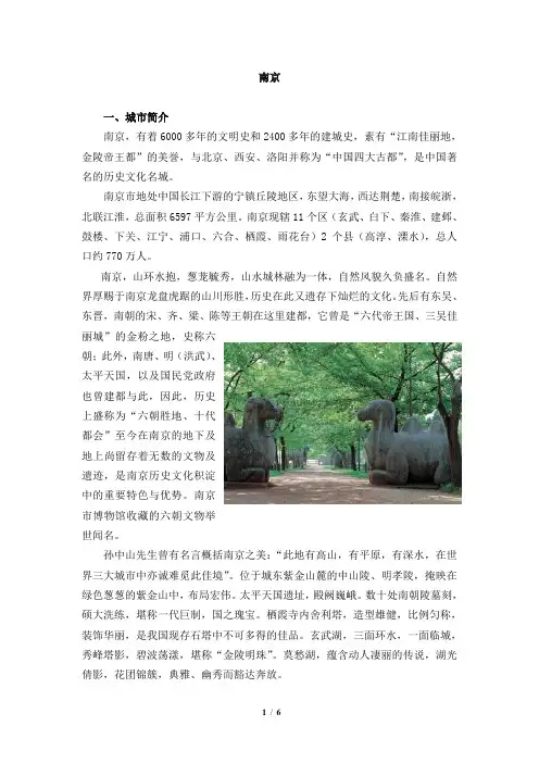 详细的南京简介有图
