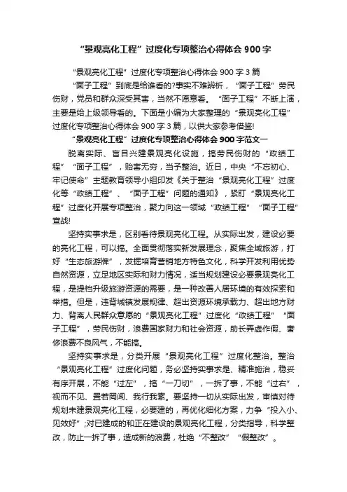 “景观亮化工程”过度化专项整治心得体会900字