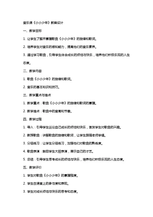 音乐课《小小少年》教案设计