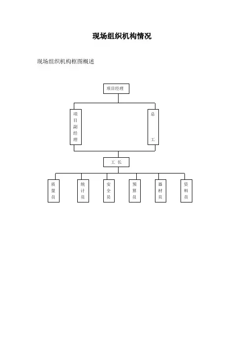 现场组织机构情况