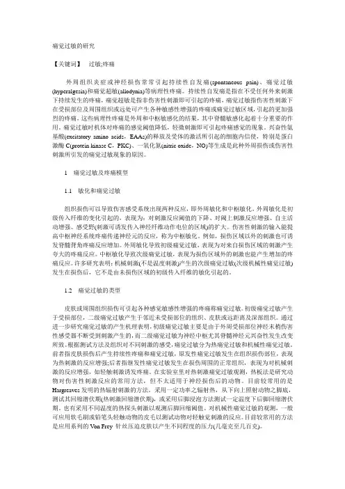 痛觉过敏探究