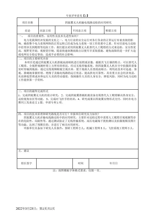 专家评审意见模板-专业专家评审意见