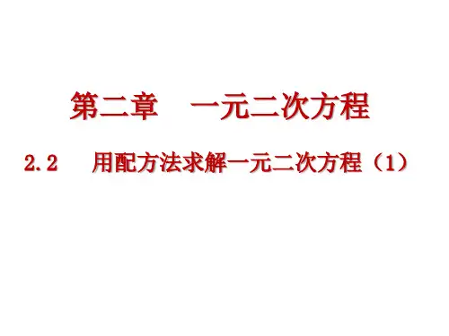 2.用配方法求解一元二次方程PPT课件(北师大版)