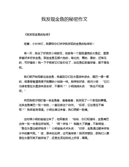 我发现金鱼的秘密作文