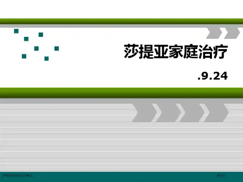 萨提亚家庭治疗模式