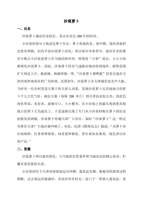 沙窝萝卜介绍(乡志)