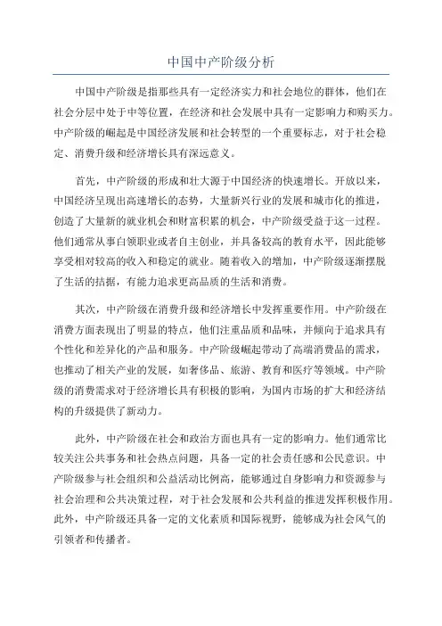 中国中产阶级分析