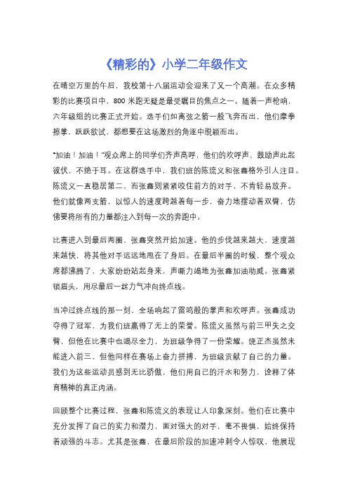 《精彩的》小学二年级作文