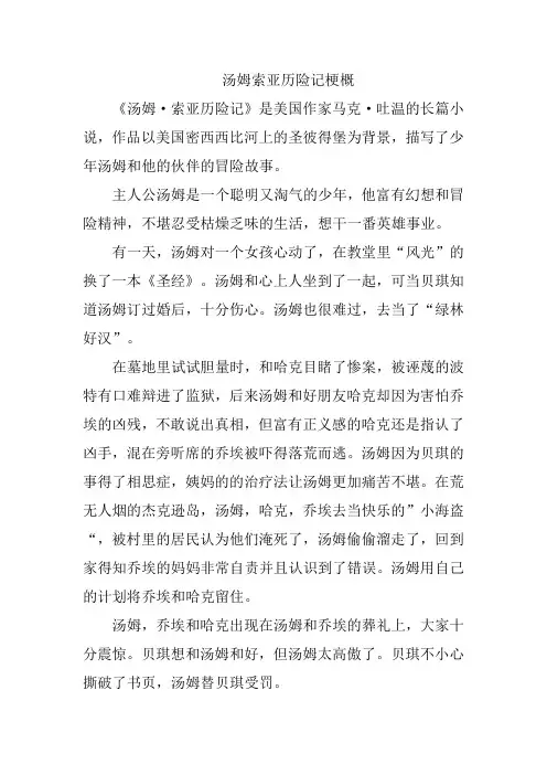 写汤姆索亚历险记梗概