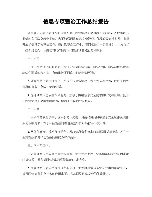信息专项整治工作总结报告