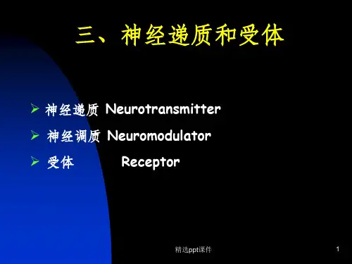 四、神经递质和受体