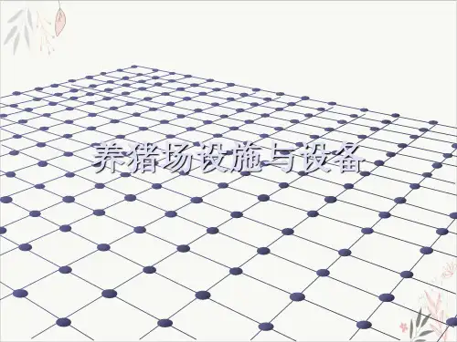 养猪场设施与设备ppt-课件