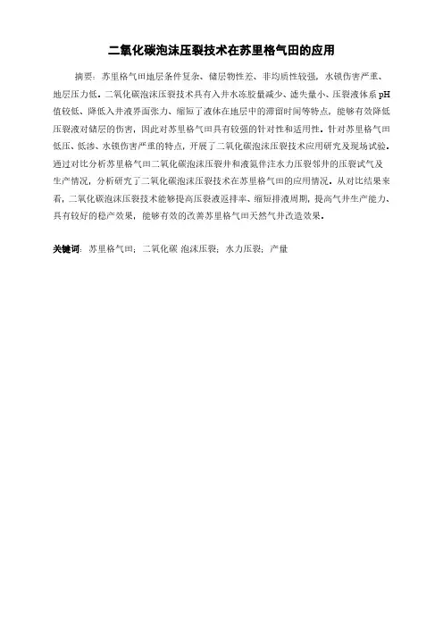 二氧化碳泡沫压裂液研究与应用