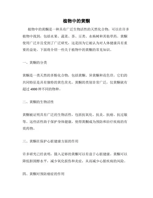 植物中的黄酮
