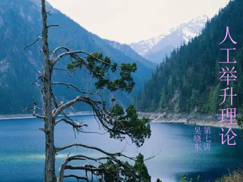 第七讲气举采油