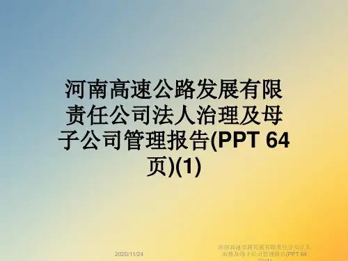 河南高速公路发展有限责任公司法人治理及母子公司管理报告(PPT 64页)(1)