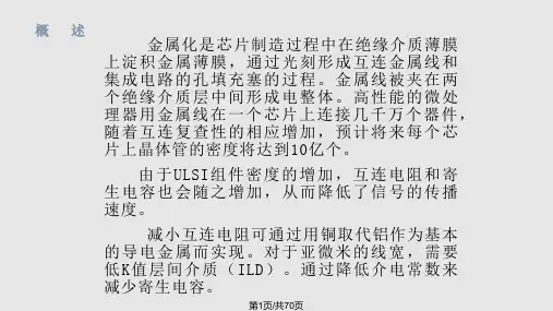 金属化工艺PPT课件