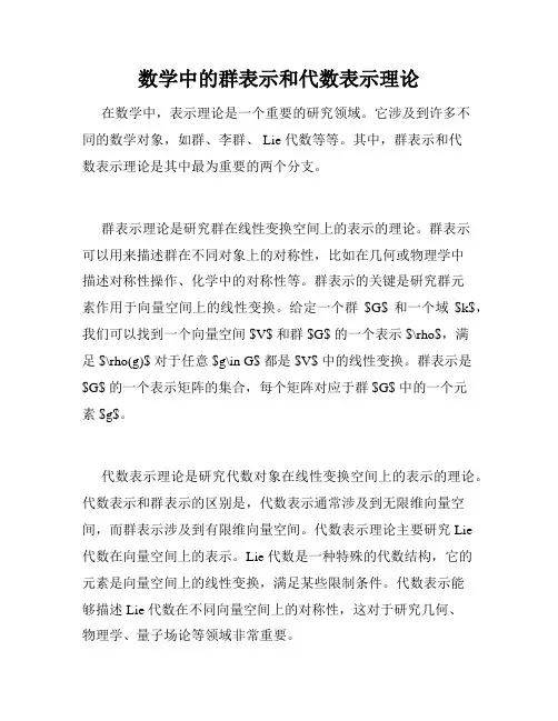 数学中的群表示和代数表示理论