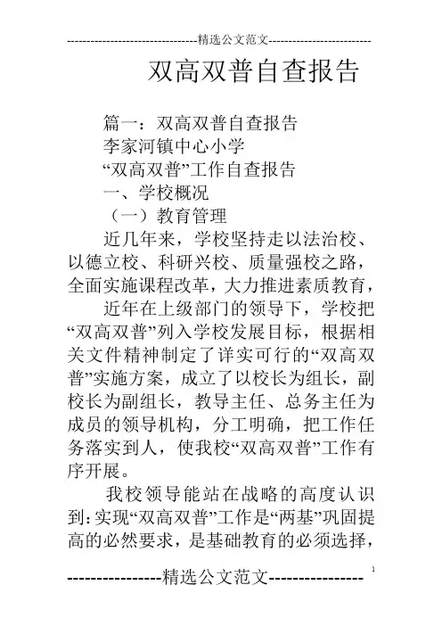 双高双普自查报告
