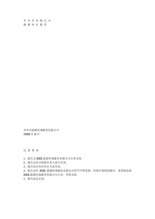 能源化工-能源审计报告范本1 精品