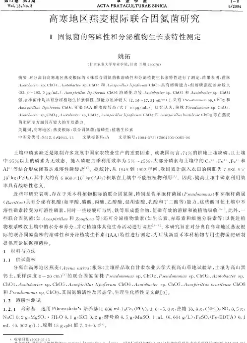 高寒地区燕麦根际联合固氮菌研究Ⅱ固氮菌的溶磷性和分泌植物生长素特性测定