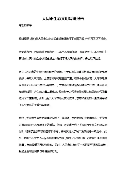 大同市生态文明调研报告