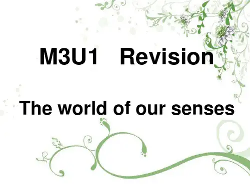 牛津译林版模块三 revision精品课件